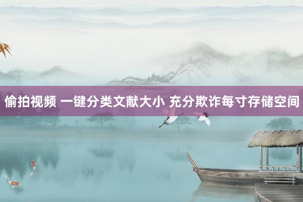 偷拍视频 一键分类文献大小 充分欺诈每寸存储空间